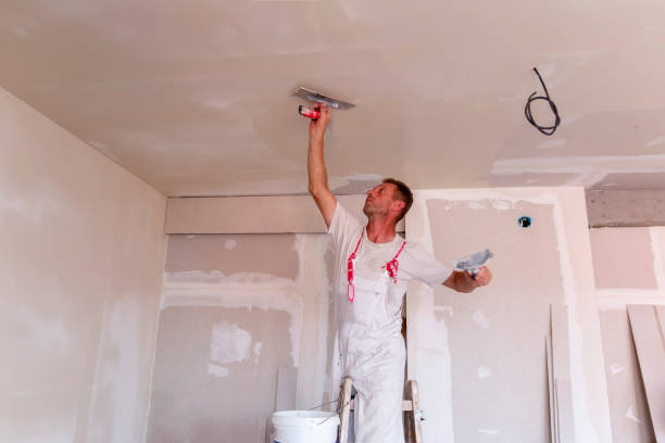 Best New Construction Drywall Services  in USA